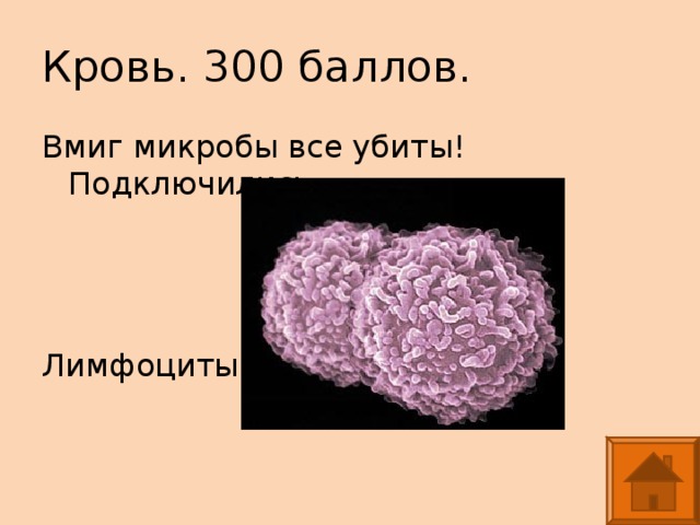 Кровь. 300 баллов. Вмиг микробы все убиты! Подключились … Лимфоциты