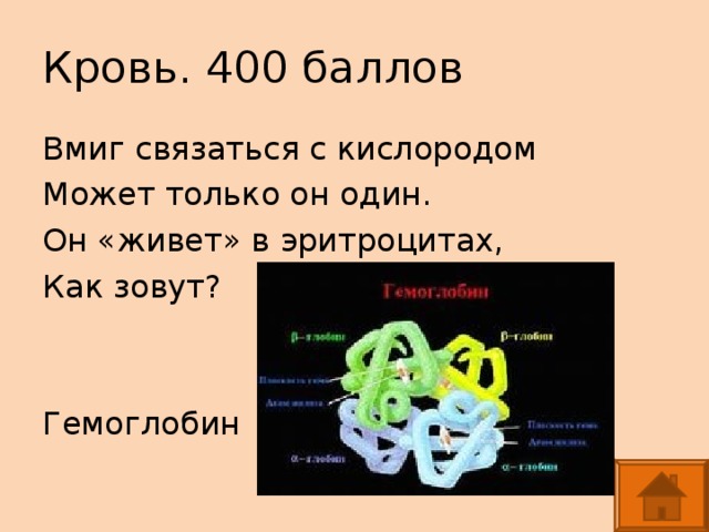 Кровь. 400 баллов Вмиг связаться с кислородом Может только он один. Он «живет» в эритроцитах, Как зовут? Гемоглобин