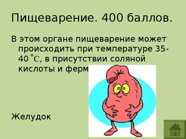 Пищеварение. 400 баллов. В этом органе пищеварение может происходить при температуре 35-40 ̊С , в присутствии соляной кислоты и ферменты. Желудок