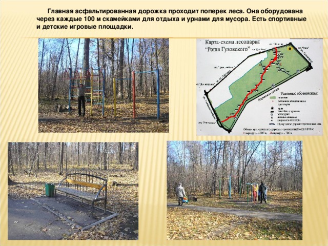 Главная асфальтированная дорожка проходит поперек леса. Она оборудована через каждые 100 м скамейками для отдыха и урнами для мусора. Есть спортивные и детские игровые площадки.