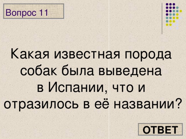 Вопрос 11 Какая известная порода собак была выведена в Испании, что и отразилось в её названии? ОТВЕТ