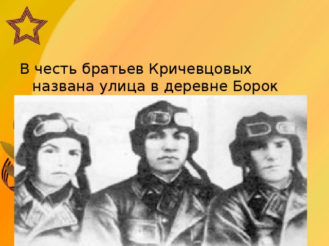 В честь братьев Кричевцовых названа улица в деревне Борок Гомельского района