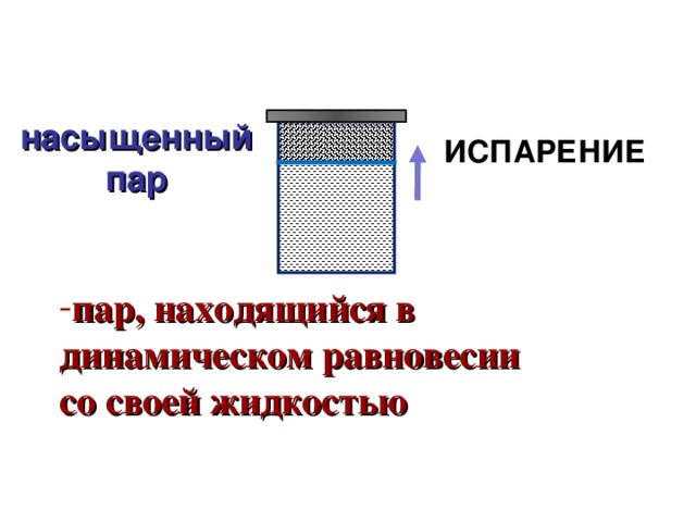 Динамическое равновесие между паром и жидкостью