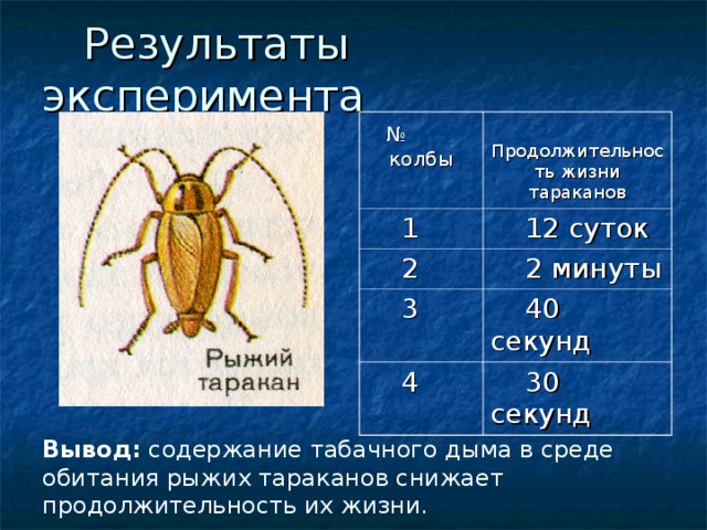 Результаты эксперимента  № колбы Продолжительность жизни тараканов  1  12 суток  2  2 минуты  3  40 секунд  4  30 секунд Вывод: содержание табачного дыма в среде обитания рыжих тараканов снижает продолжительность их жизни.