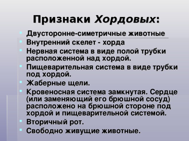 Признаки Хордовых :