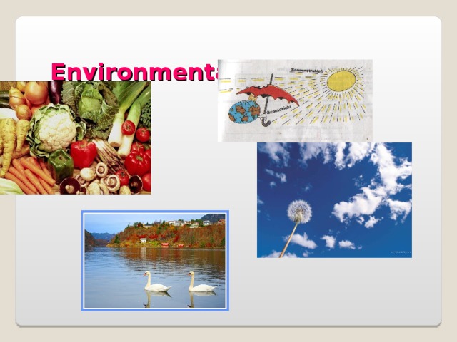 Environmental influence