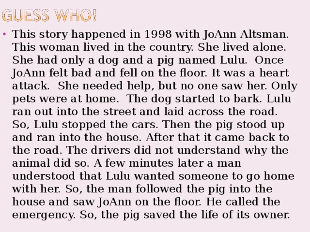 This story happened in 1998 with JoAnn Altsman. This woman lived in the country. She lived alone. She had only a dog and a pig named Lulu. Once JoAnn felt bad and fell on the floor. It was a heart attack. She needed help, but no one saw her. Only pets were at home. The dog started to bark. Lulu ran out into the street and laid across the road. So, Lulu stopped the cars. Then the pig stood up and ran into the house. After that it came back to the road. The drivers did not understand why the animal did so. A few minutes later a man understood that Lulu wanted someone to go home with her. So, the man followed the pig into the house and saw JoAnn on the floor. He called the emergency. So, the pig saved the life of its owner.