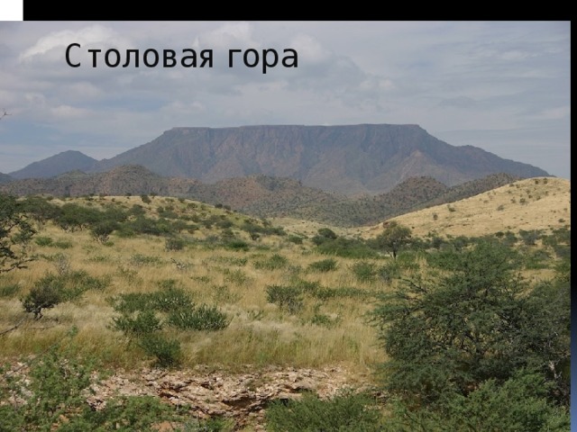 Столовая гора