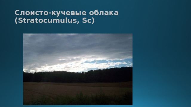 Слоисто-кучевые облака (Stratocumulus, Sc)
