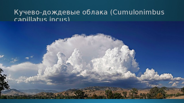 Кучево-дождевые облака (Cumulonimbus capillatus incus)
