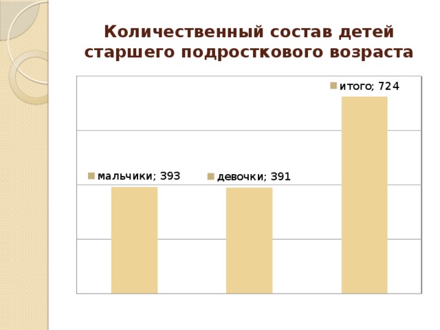 Количественный состав детей старшего подросткового возраста