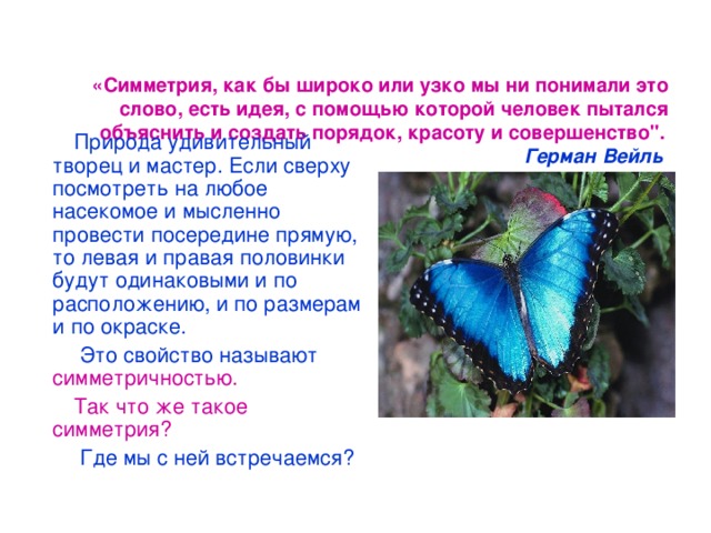 «Симметрия, как бы широко или узко мы ни понимали это слово, есть идея, с помощью которой человек пытался объяснить и создать порядок, красоту и совершенство