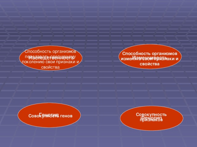 Способность организмов передавать следующему поколению свои признаки и свойства Способность организмов изменять свои признаки и свойства Изменчивость Наследственность   Генотип Совокупность признаков Совокупность генов Фенотип