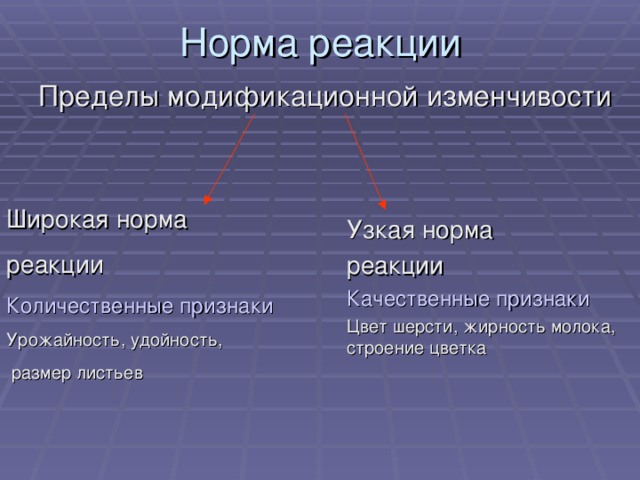 Пределы модификационной изменчивости Широкая норма реакции Количественные признаки Урожайность, удойность,  размер листьев Узкая норма реакции Качественные признаки Цвет шерсти, жирность молока, строение цветка