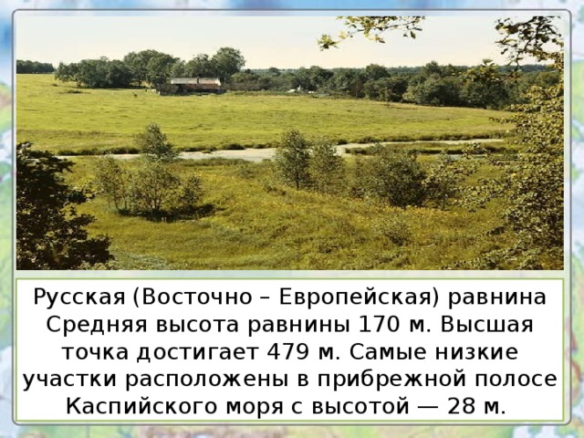 Средняя максимальная абсолютная высота восточно европейской равнины. Восточно европейская русская равнина. Самая высокая точка Восточно европейской равнины.