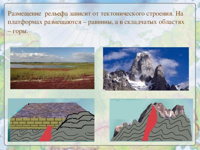 Размещение рельефа зависит от тектонического строения. На платформах размещаются – равнины, а в складчатых областях – горы.