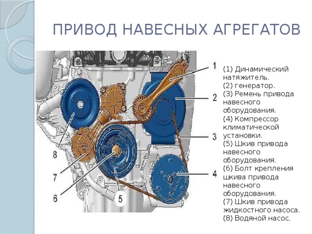 ПРИВОД НАВЕСНЫХ АГРЕГАТОВ (1) Динамический натяжитель. (2) генератор. (3) Ремень привода навесного оборудования. (4) Компрессор климатической установки. (5) Шкив привода навесного оборудования. (6) Болт крепления шкива привода навесного оборудования. (7) Шкив привода жидкостного насоса. (8) Водяной насос.