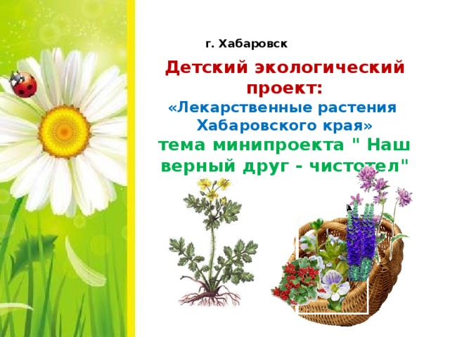 г. Хабаровск Детский экологический проект: «Лекарственные растения Хабаровского края» тема минипроекта 