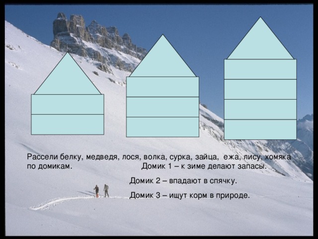 Рассели белку, медведя, лося, волка, сурка, зайца, ежа, лису, хомяка по домикам. Домик 1 – к зиме делают запасы.  Домик 2 – впадают в спячку.  Домик 3 – ищут корм в природе.