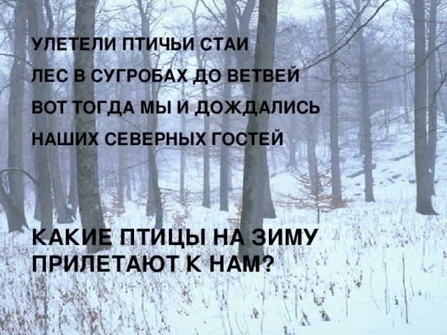 УЛЕТЕЛИ ПТИЧЬИ СТАИ ЛЕС В СУГРОБАХ ДО ВЕТВЕЙ ВОТ ТОГДА МЫ И ДОЖДАЛИСЬ НАШИХ СЕВЕРНЫХ ГОСТЕЙ КАКИЕ ПТИЦЫ НА ЗИМУ ПРИЛЕТАЮТ К НАМ?