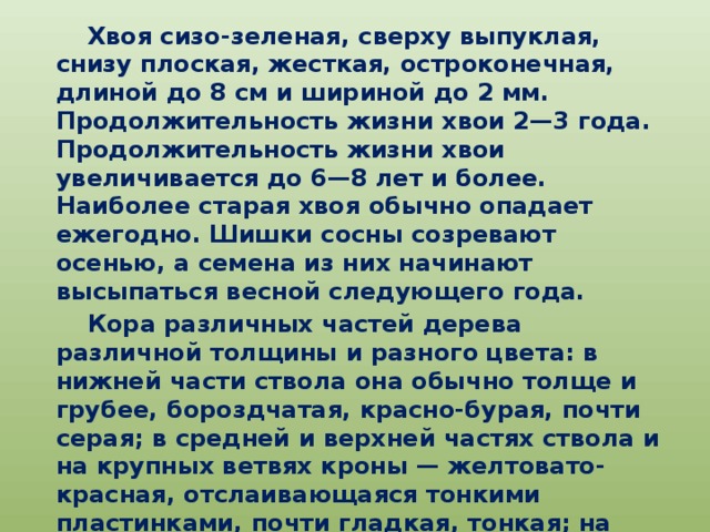 Хвоя сизо-зеленая, сверху выпуклая, снизу плоская, жесткая, остроконечная, длиной до 8 см и шириной до 2 мм. Продолжительность жизни хвои 2—3 года. Продолжительность жизни хвои увеличивается до 6—8 лет и более. Наиболее старая хвоя обычно опадает ежегодно. Шишки сосны созревают осенью, а семена из них начинают высыпаться весной следующего года.  Кора различных частей дерева различной толщины и разного цвета: в нижней части ствола она обычно толще и грубее, бороздчатая, красно-бурая, почти серая; в средней и верхней частях ствола и на крупных ветвях кроны — желтовато-красная, отслаивающаяся тонкими пластинками, почти гладкая, тонкая; на молодых деревцах и на тонких ветвях — серо-зеленая. Толщина коры достигает 10—12% диаметра ствола.