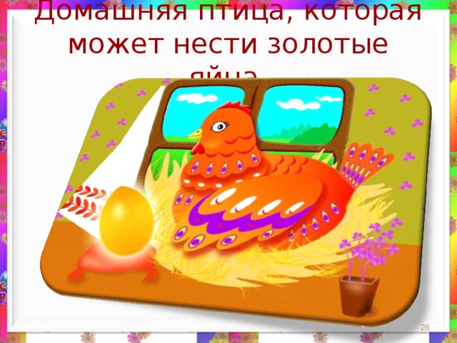 Домашняя птица, которая может нести золотые яйца.