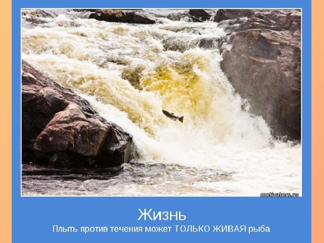 Полететь против течения ничего не говори. Плыть по течению жизни. Плыть против течения. Живая рыба плывет против течения. Жизнь течение реки.