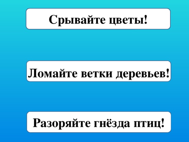 Срывайте цветы! Ломайте ветки деревьев! Разоряйте гнёзда птиц!