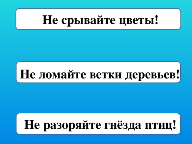 Не Не срывайте цветы! Не ломайте ветки деревьев! Не разоряйте гнёзда птиц!