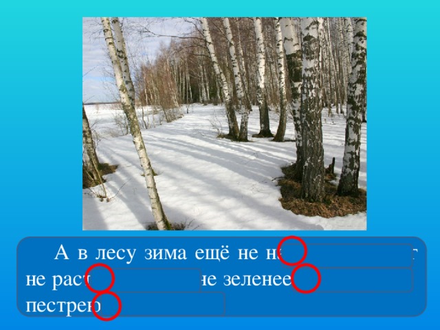 А в лесу зима ещё не наступила. Снег не растаял . Трава не зеленеет. Цветы не пестреют.