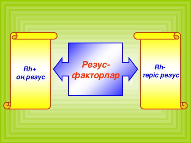 Rh+ Rh- оң резус теріс резус Резус- факторлар