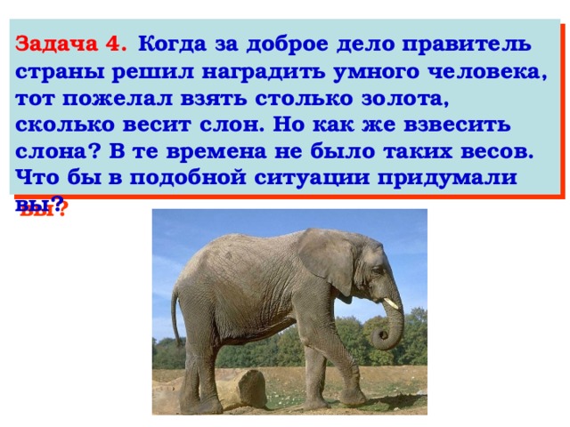 Слон сколько кг. Сколько весит слон. Задачи про слонов. Слон весит как что. Взвесить слона.