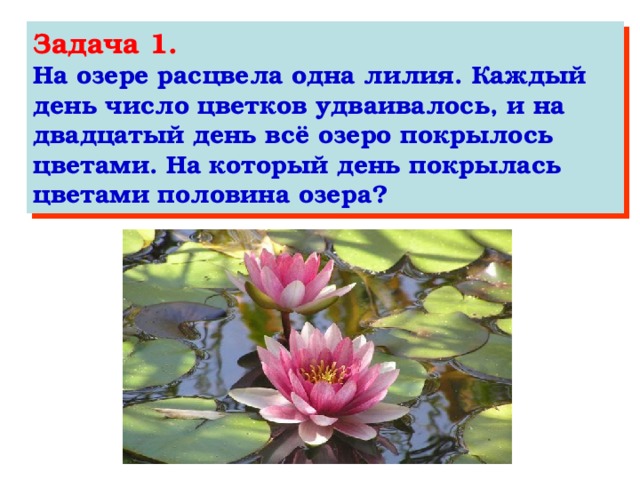 Задача 1. На озере расцвела одна лилия. Каждый день число цветков удваивалось, и на двадцатый день всё озеро покрылось цветами. На который день покрылась цветами половина озера?