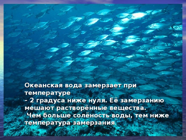 Океанская вода замерзает при температуре – 2 градуса ниже нуля. Её замерзанию мешают растворённые вещества.  Чем больше солёность воды, тем ниже температура замерзания .