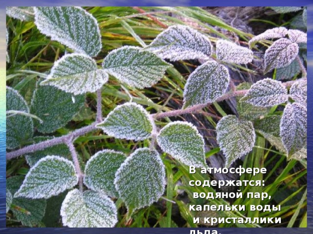 В атмосфере содержатся:  водяной пар, капельки воды  и кристаллики льда. В атмосфере содержатся:  водяной пар, капельки воды  и кристаллики льда.