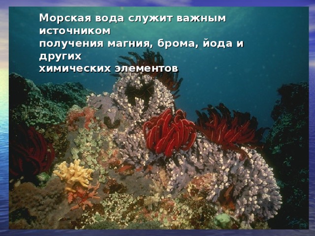 Морская вода служит важным источником получения магния, брома, йода и других химических элементов