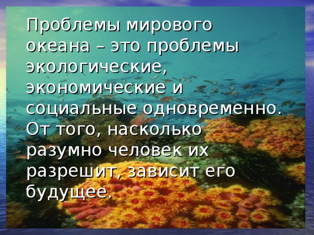 Проблемы мирового океана – это проблемы экологические, экономические и социальные одновременно. От того, насколько разумно человек их разрешит, зависит его будущее.