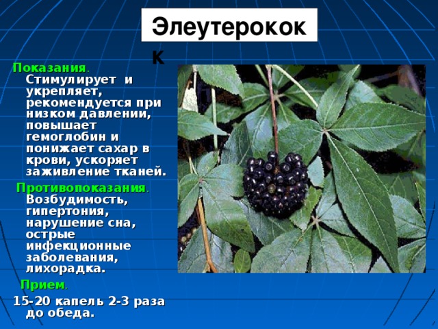 Элеутерококк Показания .  Стимулирует и укрепляет, рекомендуется при низком давлении, повышает гемоглобин и понижает сахар в крови, ускоряет заживление тканей.  Противопоказания .  Возбудимость, гипертония, нарушение сна, острые инфекционные заболевания, лихорадка.  Прием .  15-20 капель 2-3 раза до обеда.