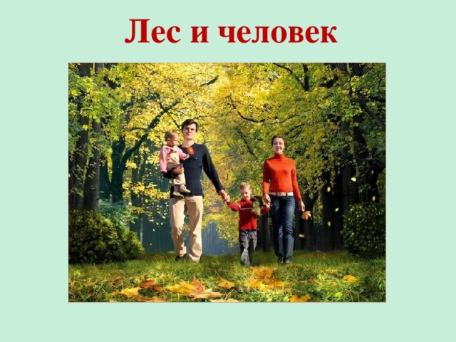 Лес и человек 4. Лес и человек презентация. Лес и человек 4 класс. Леса в жизни человека. Лес и человек окружающий мир.