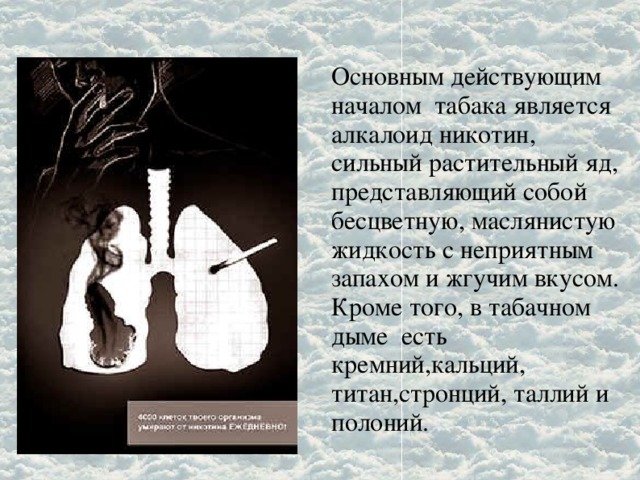 Основным действующим началом табака является алкалоид никотин, сильный растительный яд, представляющий собой бесцветную, маслянистую жидкость с неприятным запахом и жгучим вкусом. Кроме того, в табачном дыме есть кремний,кальций, титан,стронций, таллий и полоний.