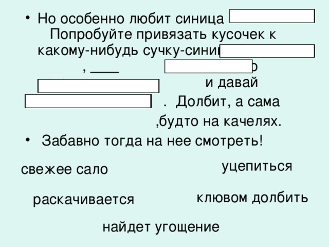 Но особенно любит синица Попробуйте привязать кусочек к какому-нибудь сучку-синица живо ,  за него коготками, и давай  . Долбит, а сама  ,будто на качелях.  Забавно тогда на нее смотреть!