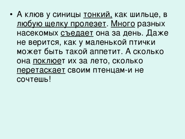 А клюв у синицы тонкий, как шильце, в любую щелку пролезет . Много разных насекомых съедает она за день. Даже не верится, как у маленькой птички может быть такой аппетит. А сколько она поклюе т их за лето, сколько перетаскает