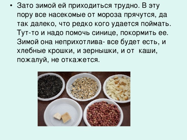 Зато зимой ей приходиться трудно. В эту пору все насекомые от мороза прячутся, да так далеко, что редко кого удается поймать. Тут-то и надо помочь синице, покормить ее. Зимой она неприхотлива- все будет есть, и хлебные крошки, и зернышки, и от  каши, пожалуй, не откажется.