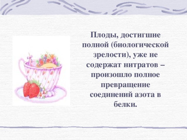 Плоды, достигшие полной (биологической зрелости), уже не содержат нитратов – произошло полное превращение соединений азота в белки.