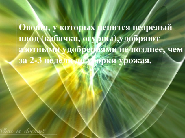 Овощи, у которых ценится незрелый плод (кабачки, огурцы),удобряют азотными удобрениями не позднее, чем за 2-3 недели до уборки урожая.