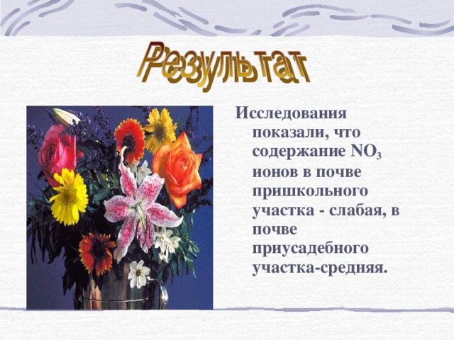 Исследования показали, что содержание NO 3 ионов в почве пришкольного участка - слабая, в почве приусадебного участка-средняя.