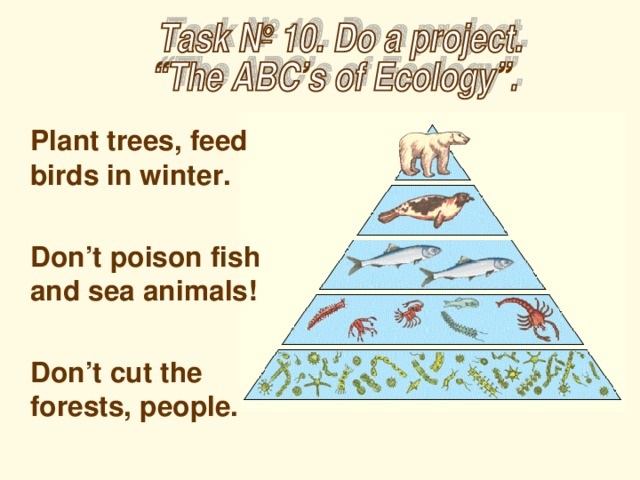 Plant trees, feed birds in winter.   Don’t poison fish and sea animals!   Don’t cut the forests, people.