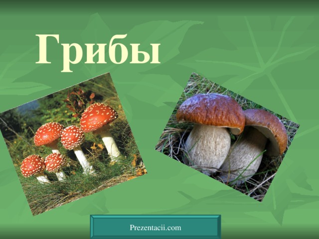 Грибы Prezentacii.com