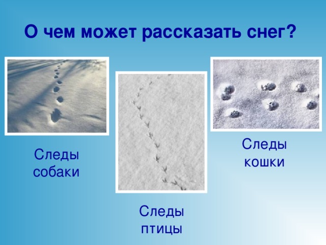 Презентация следы на снегу 1 класс - 94 фото