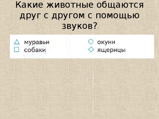 Какие животные общаются друг с другом с помощью звуков?